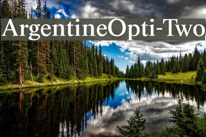ArgentineOpti-Two Font examples