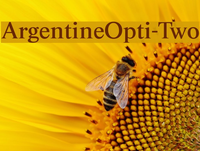 ArgentineOpti-Two Font examples