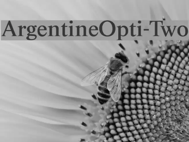 ArgentineOpti-Two Fonte examples