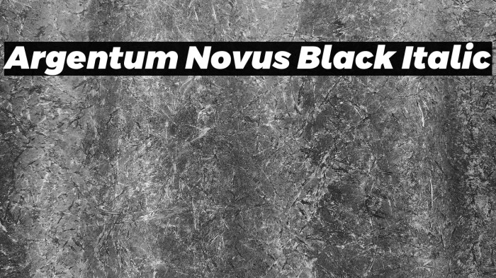 Argentum Novus Black Italic Example 1