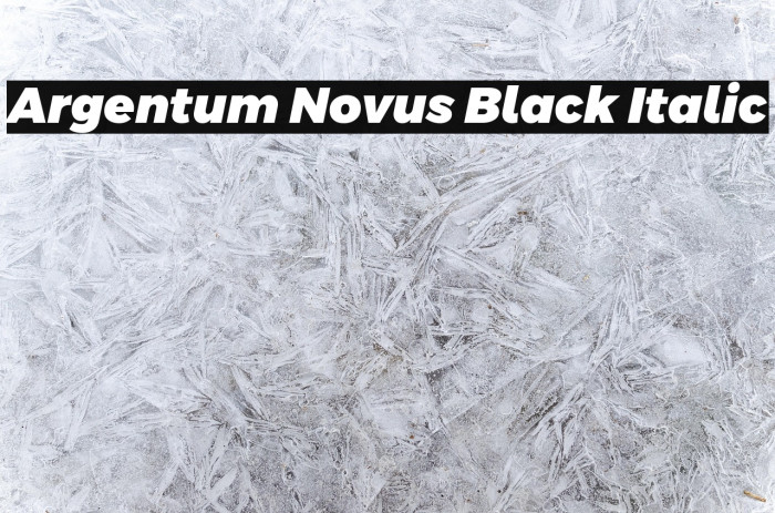 Argentum Novus Black Italic Example 2
