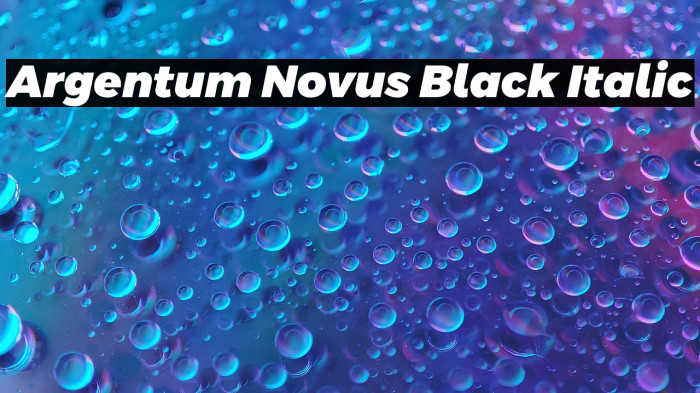 Argentum Novus Black Italic Example 3