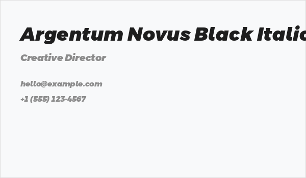 Argentum Novus Black Italic Business Card