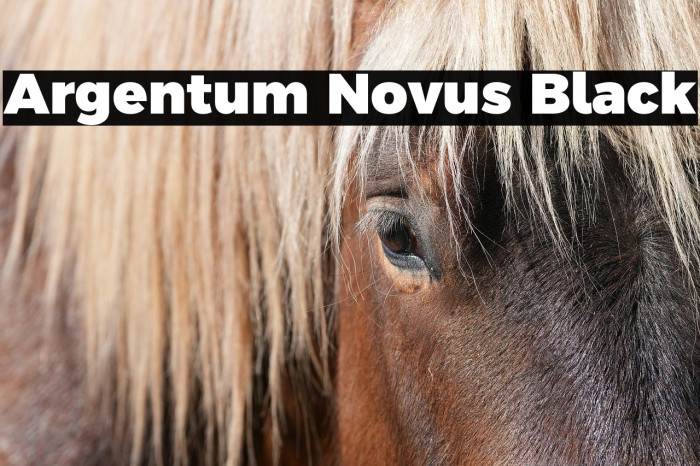 Argentum Novus Black Example 1