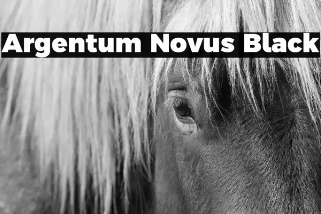 Argentum Novus Black Font examples