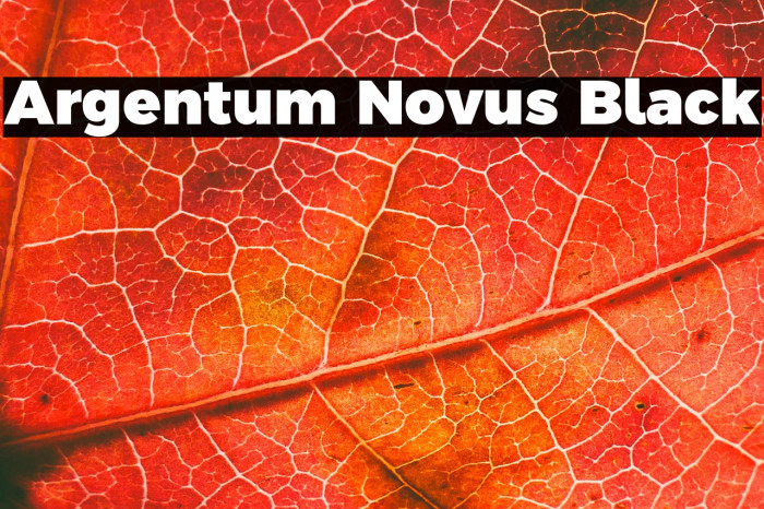 Argentum Novus Black Example 2