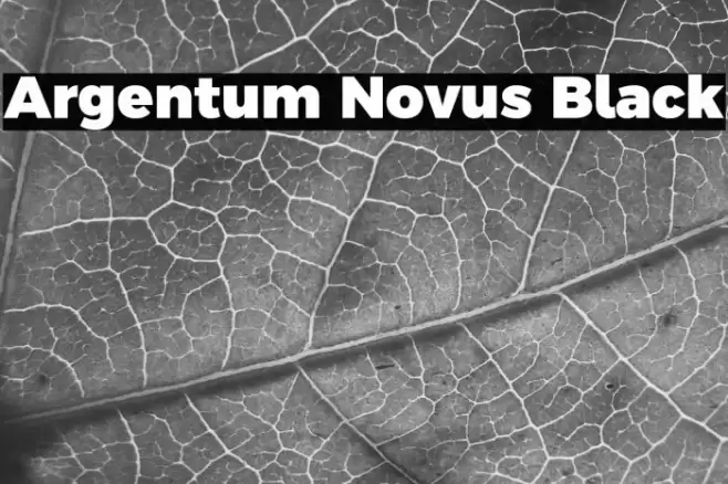 Argentum Novus Black Font examples