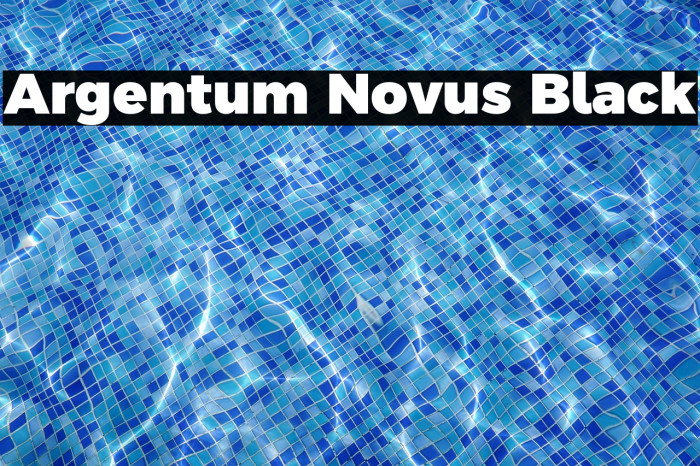 Argentum Novus Black Example 3