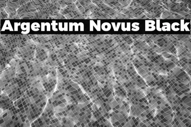 Argentum Novus Black Font examples