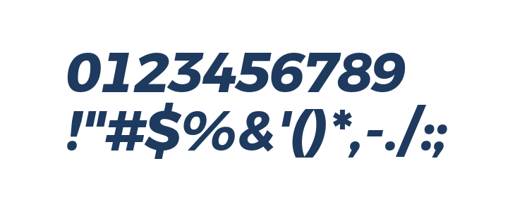 Argentum Novus Bold Italic Other Characters