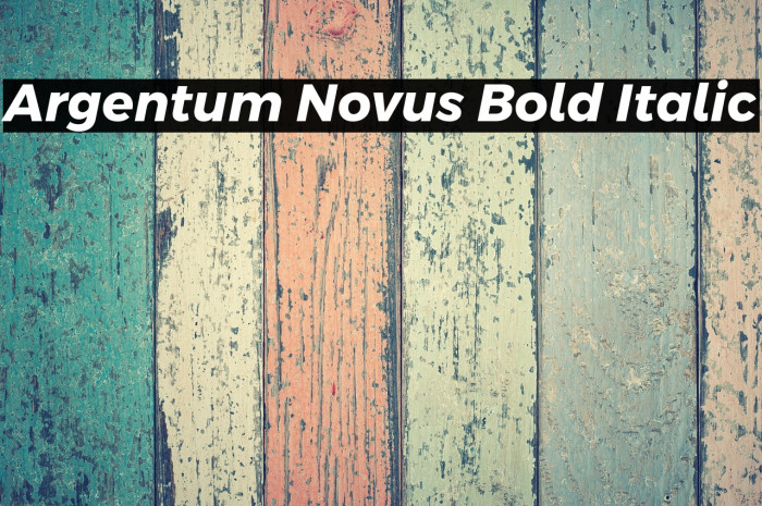 Argentum Novus Bold Italic Example 1