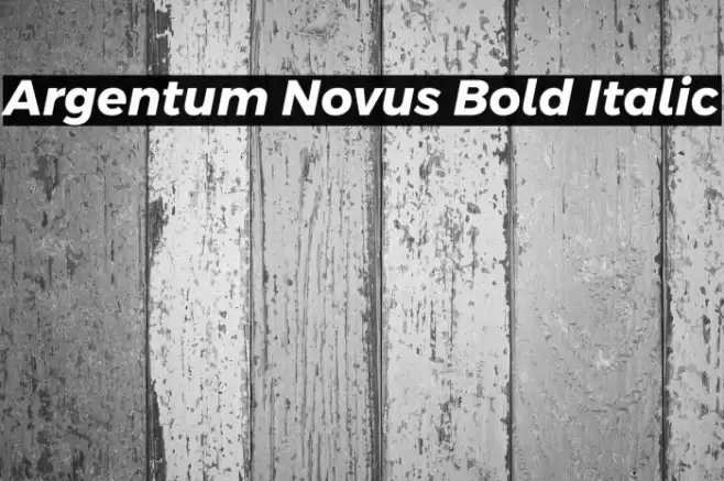 Argentum Novus Bold Italic Font examples