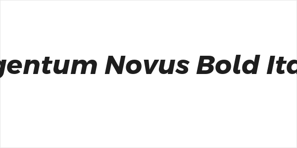 Argentum Novus Bold Italic Logo