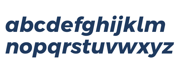 Argentum Novus Bold Italic Lowercase