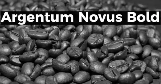 Argentum Novus Bold Example 1