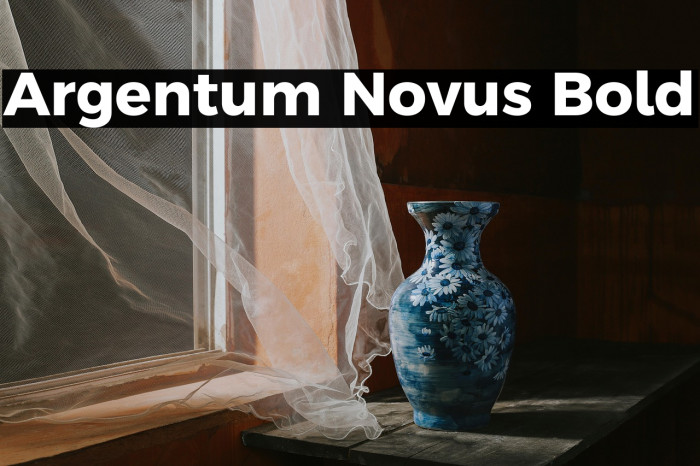 Argentum Novus Bold Example 3