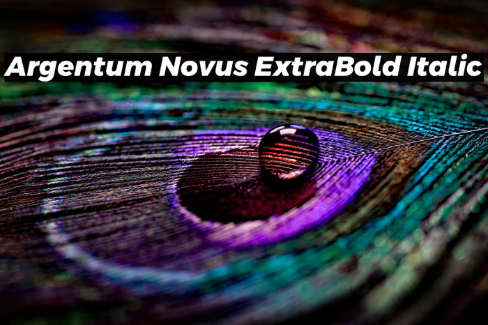 Argentum Novus ExtraBold Italic Example 1