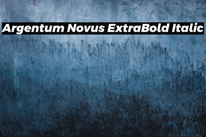Argentum Novus ExtraBold Italic Example 2