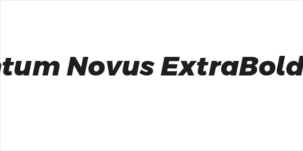 Argentum Novus ExtraBold Italic Logo