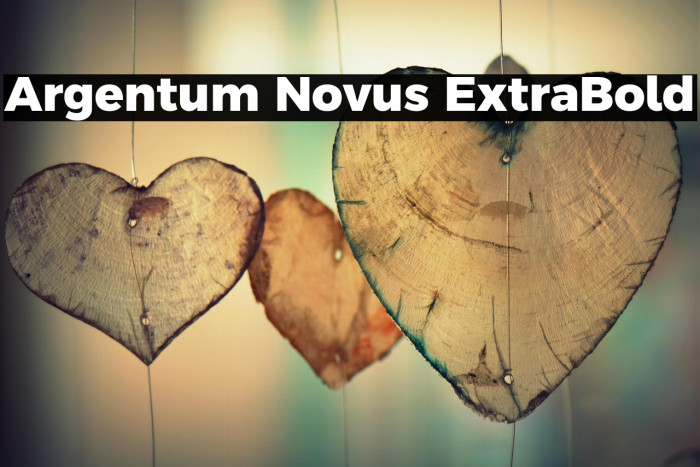 Argentum Novus ExtraBold Example 3