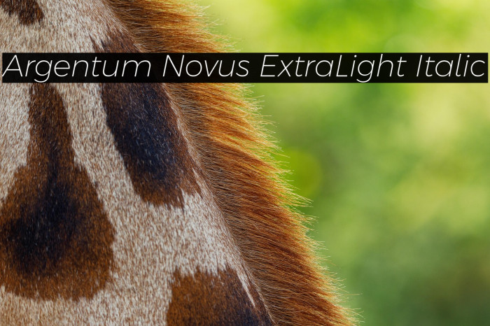 Argentum Novus ExtraLight Italic Example 1