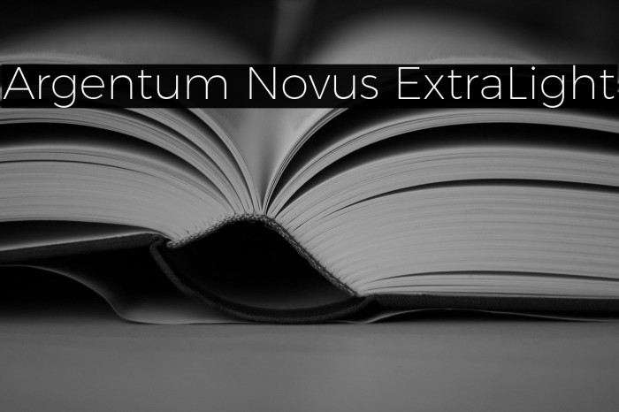 Argentum Novus ExtraLight Example 1