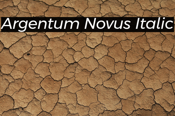 Argentum Novus Italic Example 2