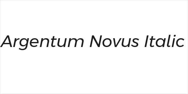 Argentum Novus Italic Logo