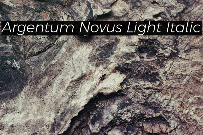 Argentum Novus Light Italic Example 1