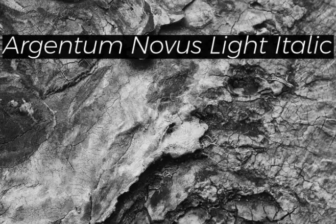Argentum Novus Light Italic Example 1