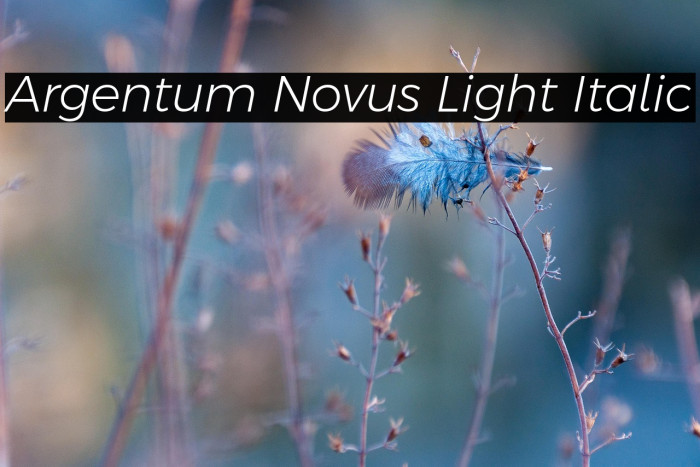 Argentum Novus Light Italic Example 2