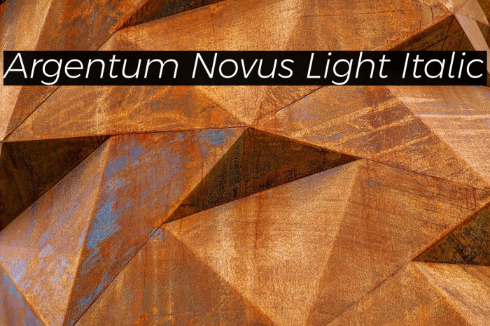 Argentum Novus Light Italic Example 3