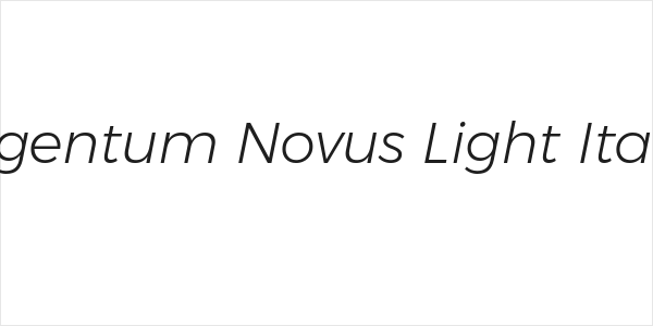 Argentum Novus Light Italic Logo