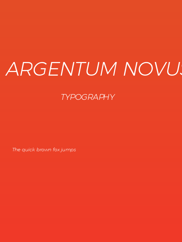 Argentum Novus Light Italic Poster