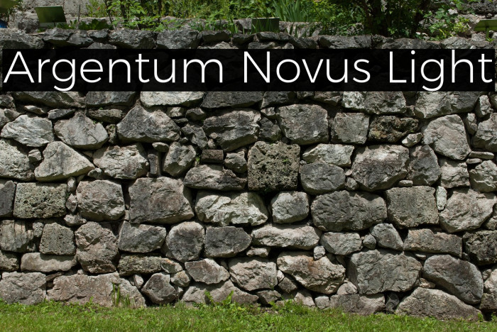 Argentum Novus Light Example 1