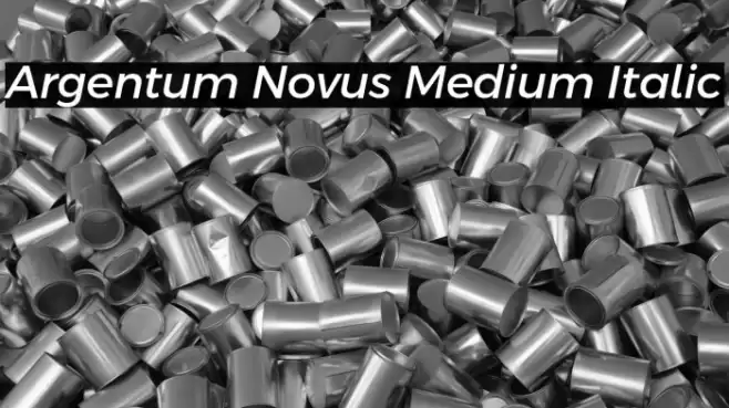 Argentum Novus Medium Italic Font examples