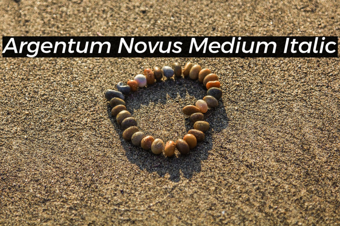 Argentum Novus Medium Italic Example 3