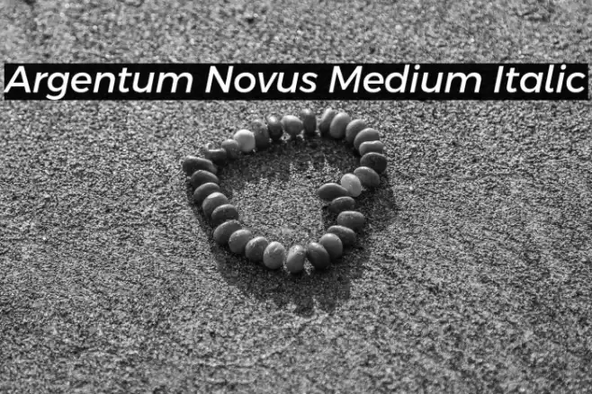 Argentum Novus Medium Italic Font examples
