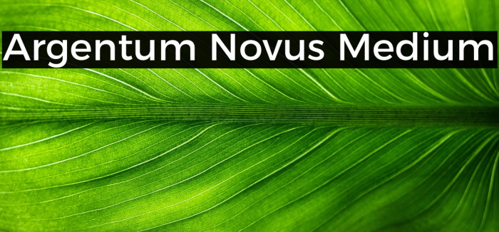 Argentum Novus Medium Example 1
