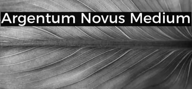 Argentum Novus Medium Example 1