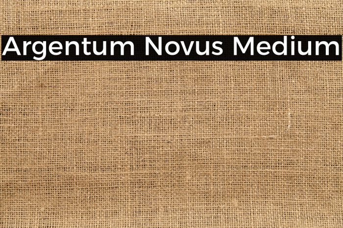 Argentum Novus Medium Example 3