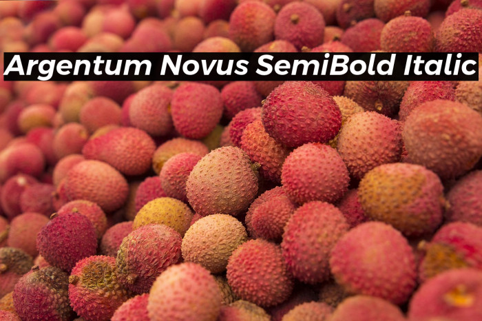 Argentum Novus SemiBold Italic Example 1