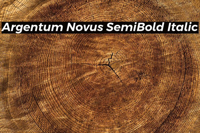Argentum Novus SemiBold Italic Example 2