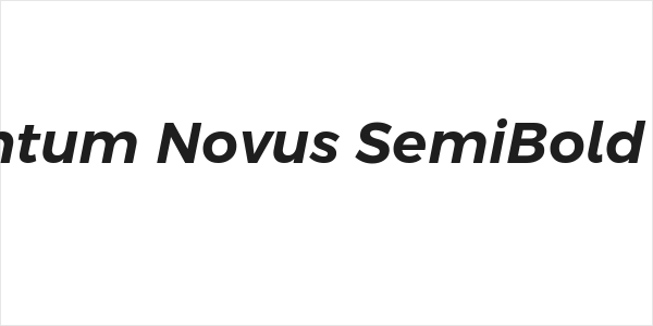 Argentum Novus SemiBold Italic Logo