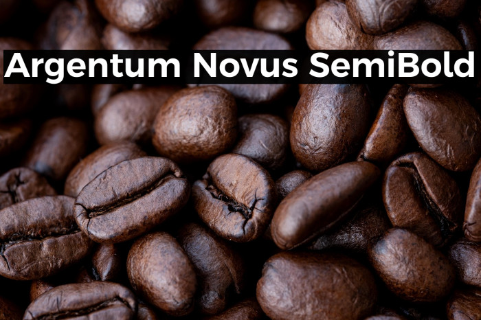 Argentum Novus SemiBold Example 1