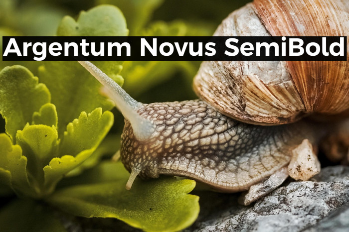 Argentum Novus SemiBold Example 3