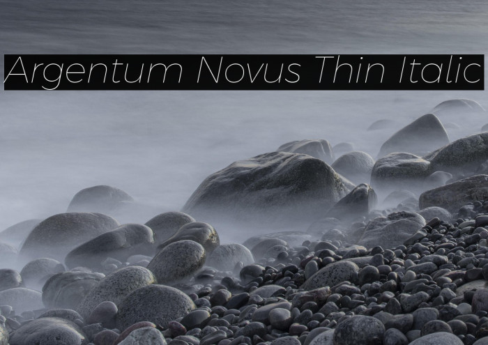 Argentum Novus Thin Italic Example 3