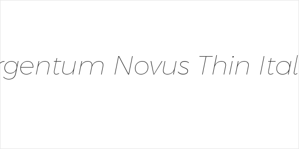 Argentum Novus Thin Italic Logo