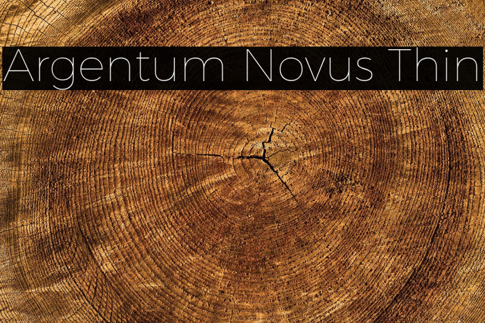 Argentum Novus Thin Example 1