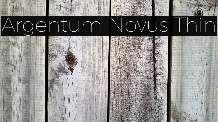 Argentum Novus Thin Example 2